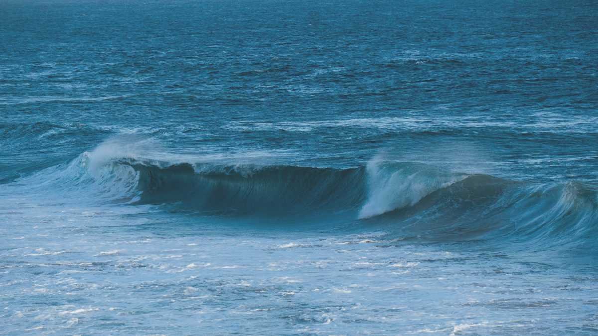 Alvarinho: Entre o Mar e a Montanha