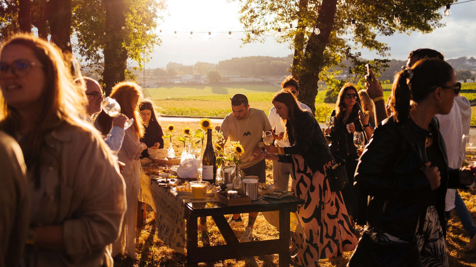 VINEVINU Land Party